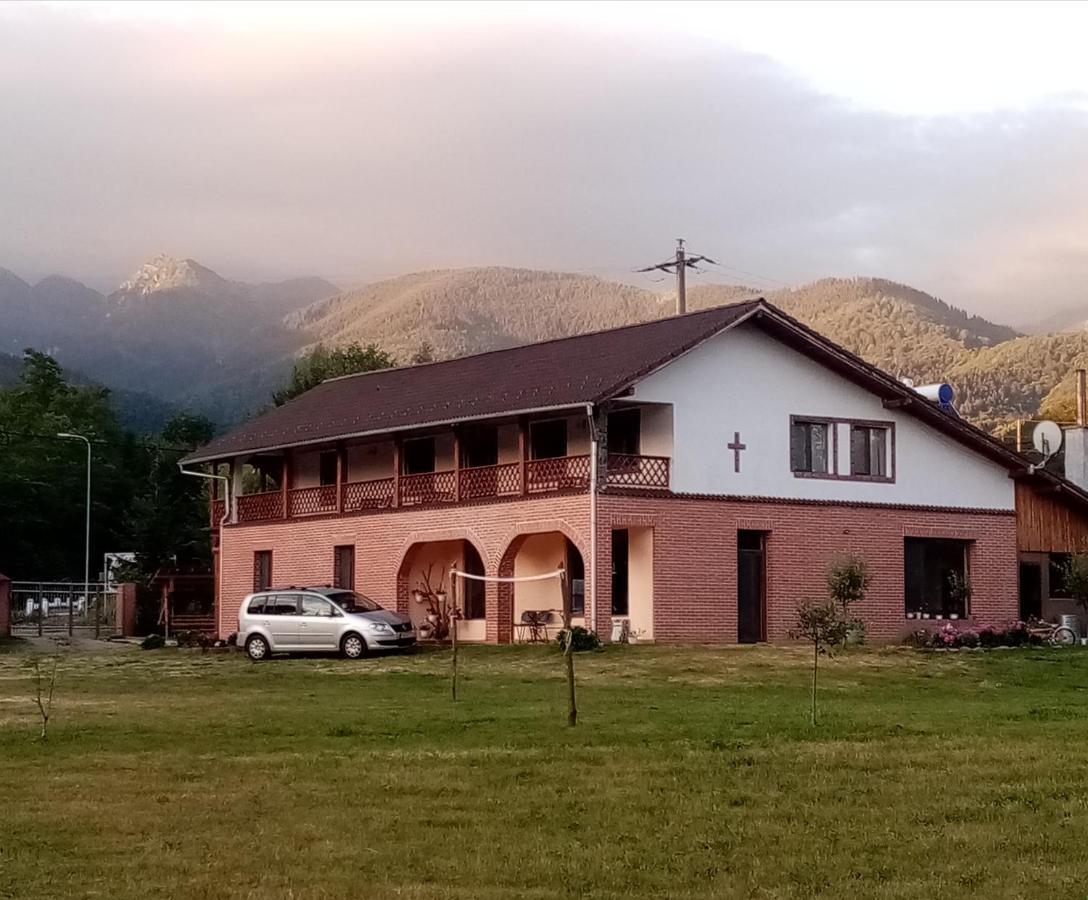 Pensiunea Dates Cartisoara Exterior foto