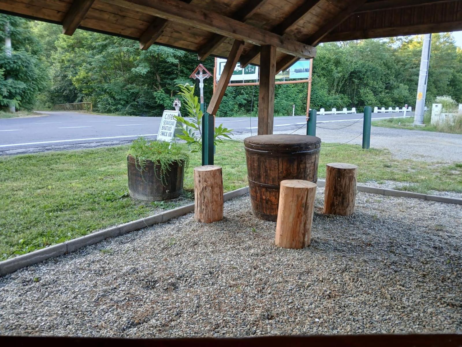 Pensiunea Dates Cartisoara Exterior foto